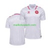 Maillot de Foot Danemark Extérieur UEFA EURO 2024